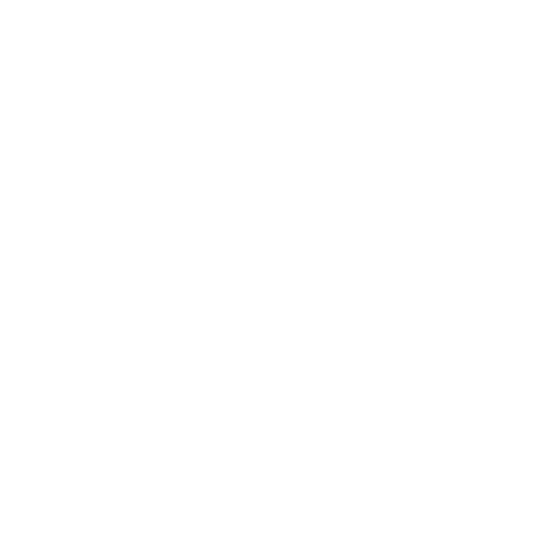 Logo 12